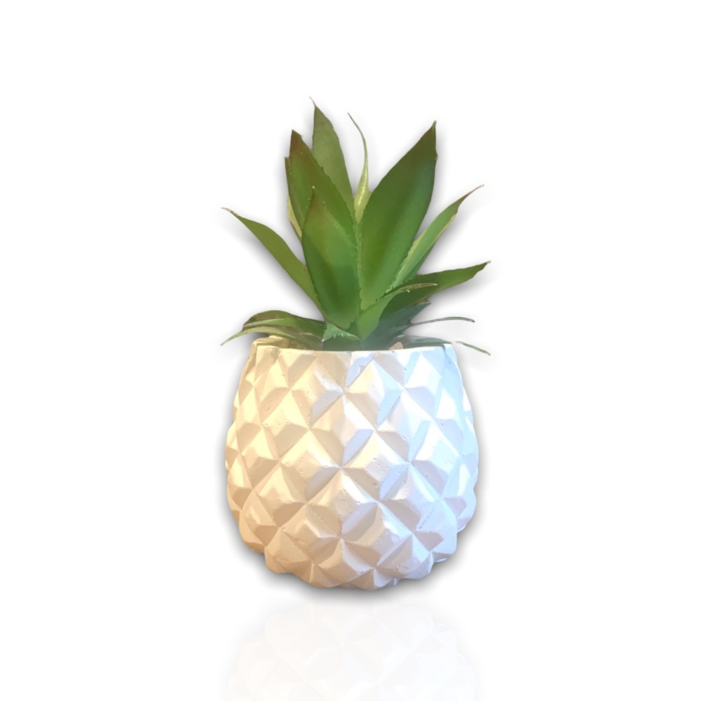 •Home Plant•